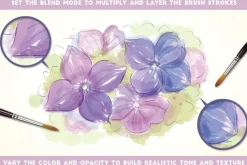 Watercolor Brushes