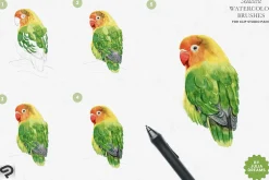 Watercolor Brushes Clip Studio Paint