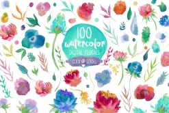 Watercolor Bundle - Designer Deal