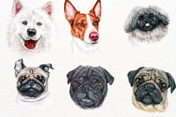 100+ Watercolor Dog Breeds - UPDATE