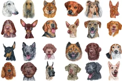 100+ Watercolor Dog Breeds - UPDATE