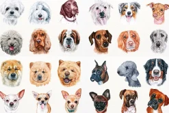 100+ Watercolor Dog Breeds - UPDATE