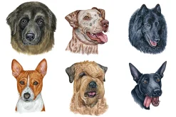 100+ Watercolor Dog Breeds - UPDATE