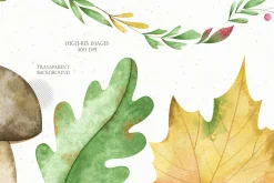 Watercolor fall clipart