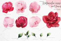 Watercolor Floral Bundle