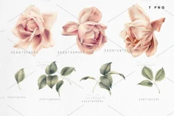 Watercolor Floral Bundle