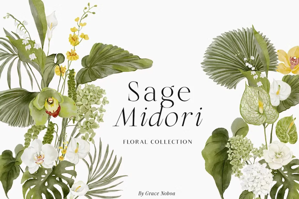 Watercolor Florals Graphics bundle