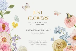 Watercolor Florals Graphics bundle