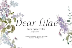 Watercolor Florals Graphics bundle