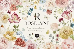 Watercolor Florals Graphics bundle