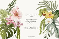 Watercolor Florals Graphics bundle