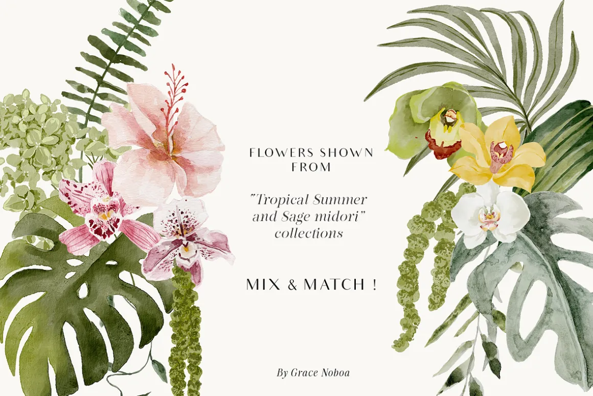 Watercolor Florals Graphics bundle