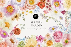 Watercolor Florals Graphics bundle