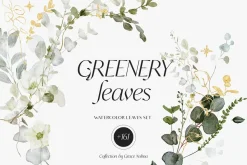 Watercolor Florals Graphics bundle