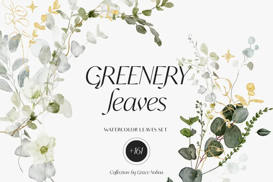 Watercolor Florals Graphics bundle