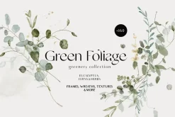 Watercolor Florals Graphics bundle