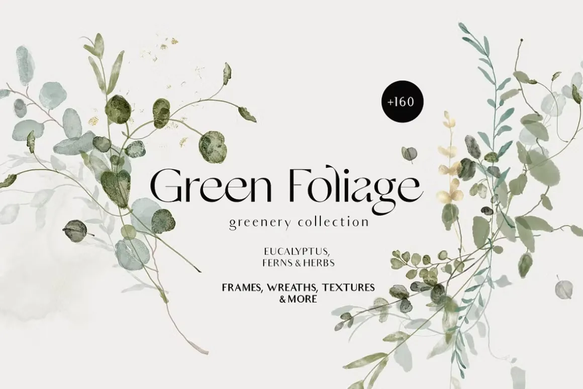 Watercolor Florals Graphics bundle