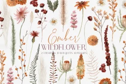 Watercolor Flower - EMBER WILDFLOWER