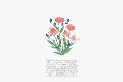 watercolor flowers clipart set