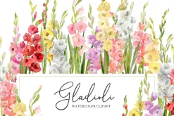 Watercolor Gladioli Flowers