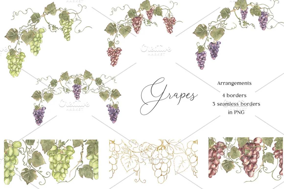 Watercolor Grapes Collection