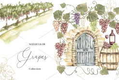 Watercolor Grapes Collection