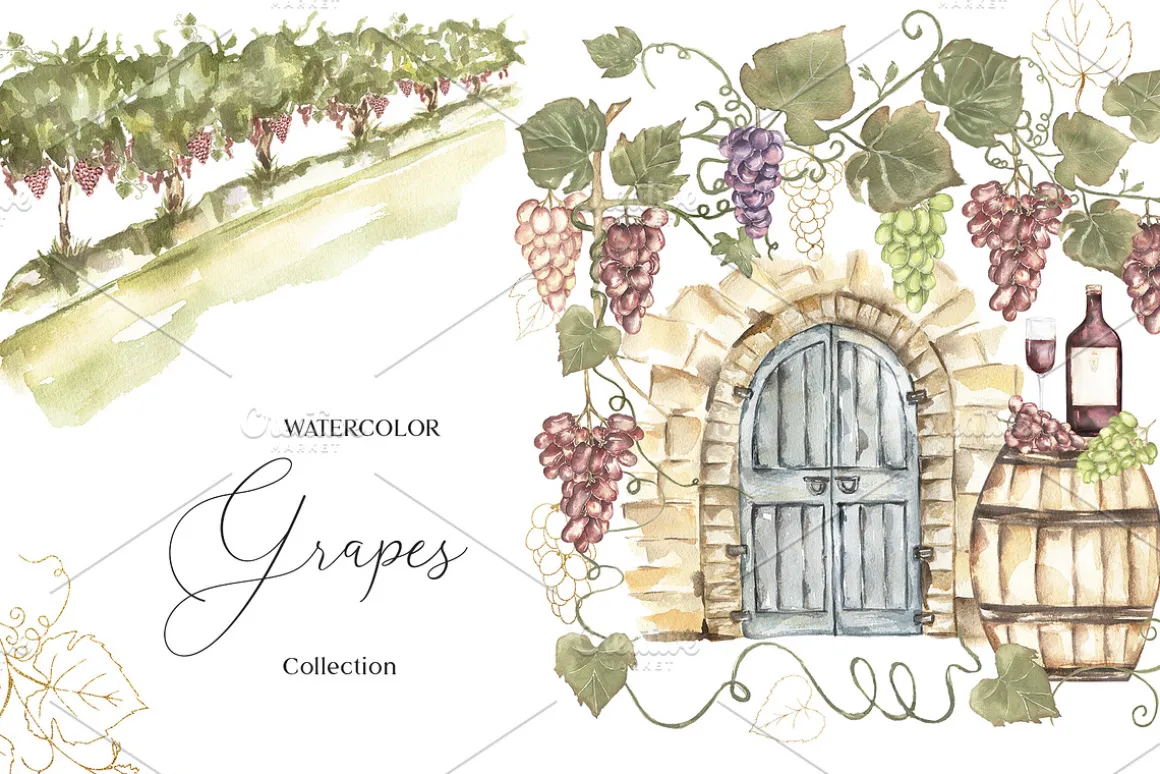 Watercolor Grapes Collection