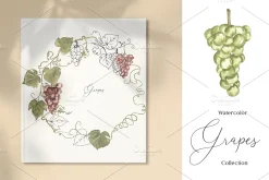 Watercolor Grapes Collection
