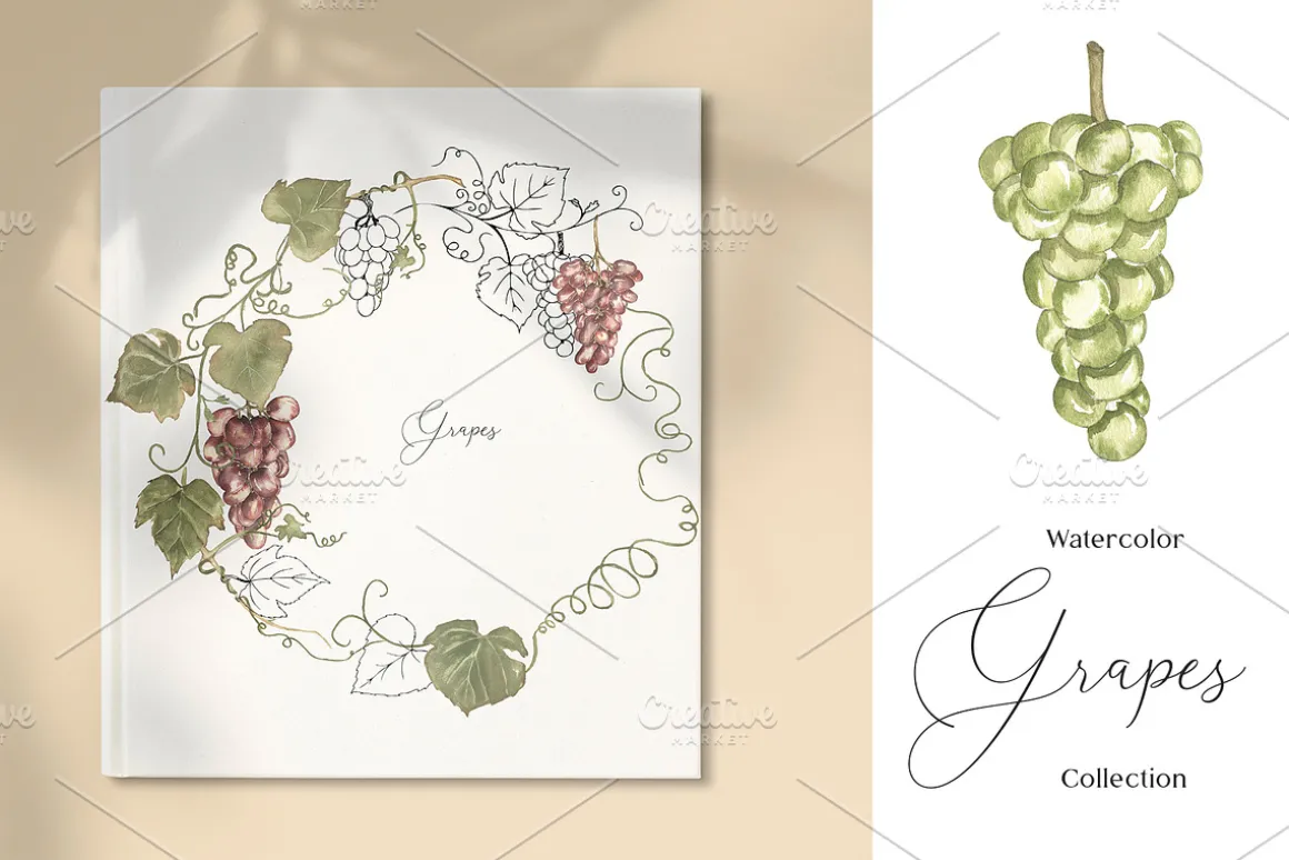 Watercolor Grapes Collection