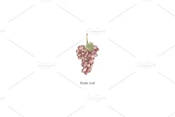 Watercolor Grapes Collection