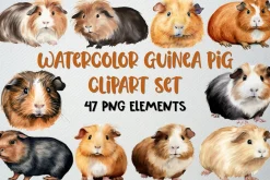 Watercolor Guinea Pig Clipart Set