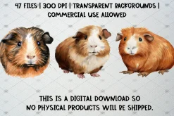 Watercolor Guinea Pig Clipart Set