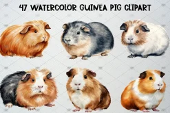Watercolor Guinea Pig Clipart Set