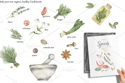 Watercolor Herbs and Spices
