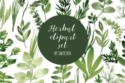 Watercolor Herbs set