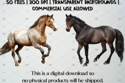 Watercolor Horse Clipart Set, 50 PNG
