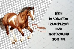 Watercolor Horse Clipart Set, 50 PNG