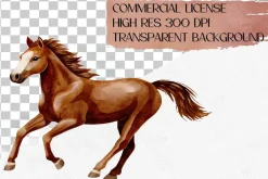 Watercolor Horse Clipart Set, 38 PNG