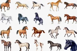 Watercolor Horse Clipart Set, 38 PNG