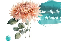 Watercolor Peach Dahlias Clipart