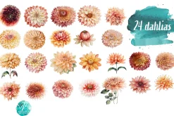 Watercolor Peach Dahlias Clipart