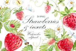Watercolor strawberry PNG + insects
