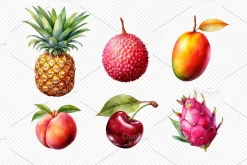 Watercolor Summer Fruit PNG Clipart.