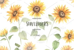 Watercolor Sunflower Cliparts