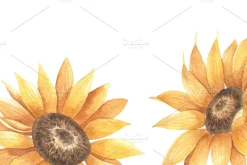 Watercolor Sunflower Cliparts