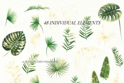 Watercolor tropical clip art