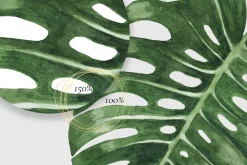 Watercolor tropical clip art