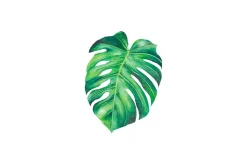Watercolor Tropical Leaves Clipart