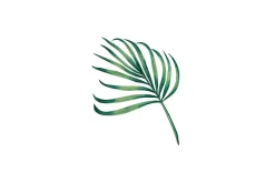 Watercolor Tropical Leaves Clipart