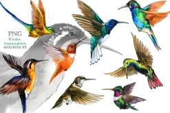 Watercolor Tropical plant & Bird